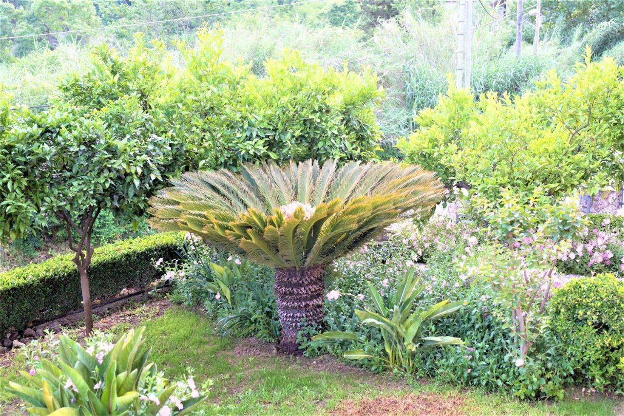 La Bella Vita - Luxury Holiday House Close To Corfu Town Potamos  Bagian luar foto